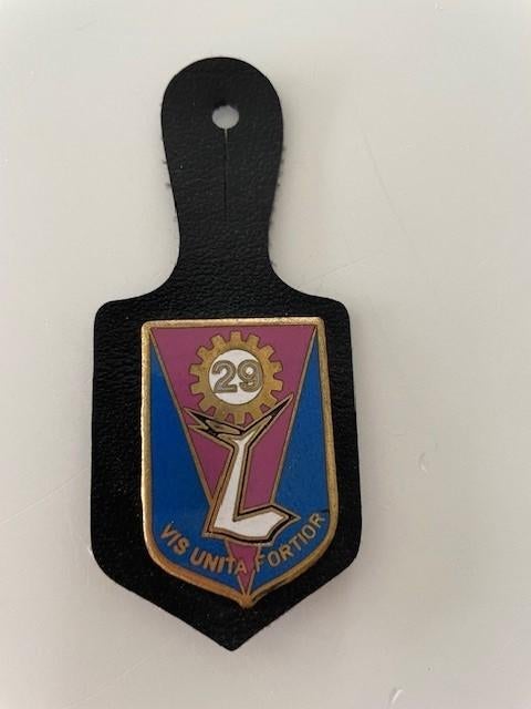 Insigne militaire belge « 29 BATTALION Logistics », Enlèvement ou Envoi, Armée de terre, Emblème ou Badge
