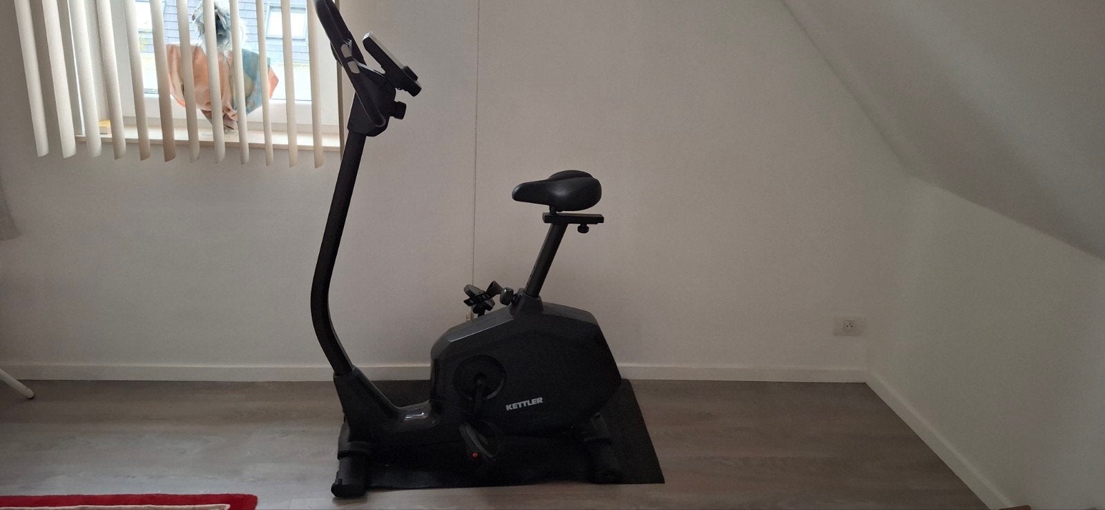 Hometrainer Kettler ride 300, Enlèvement, Vélo d'appartement