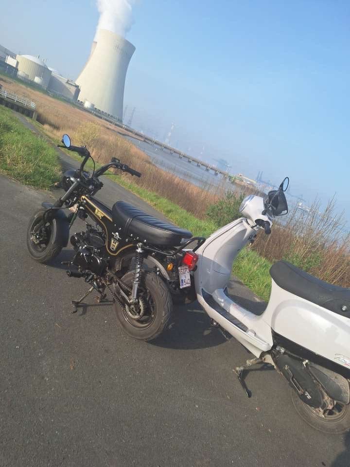 Dax bulroc, Ophalen, Zo goed als nieuw