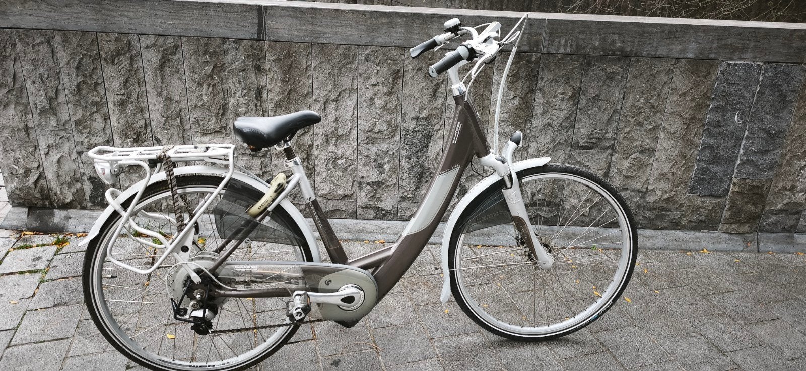 Elektrische fiets met achterwielaandrijving, Enlèvement