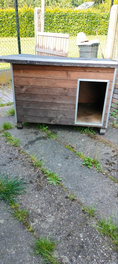Hondenhok, Dieren en Toebehoren, Hondenhokken, Ophalen, Hondenhok