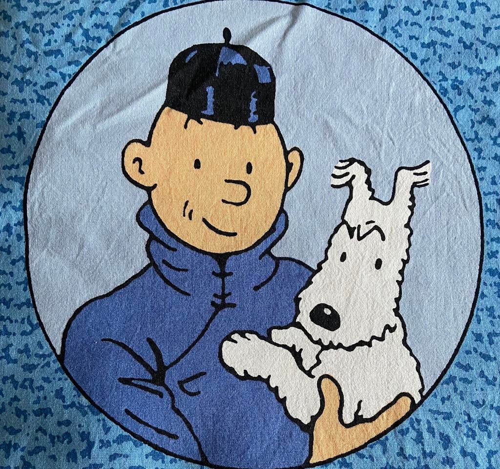 Kuifje/Tintin lotus bleu 1-persoons dekbed 140x175cm, katoen, Enlèvement, Utilisé, Une personne, Housse de couette