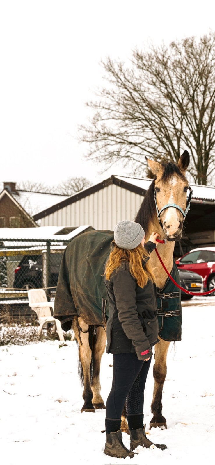 Paard/pony gezocht!, Animaux & Accessoires, Poneys, Jument