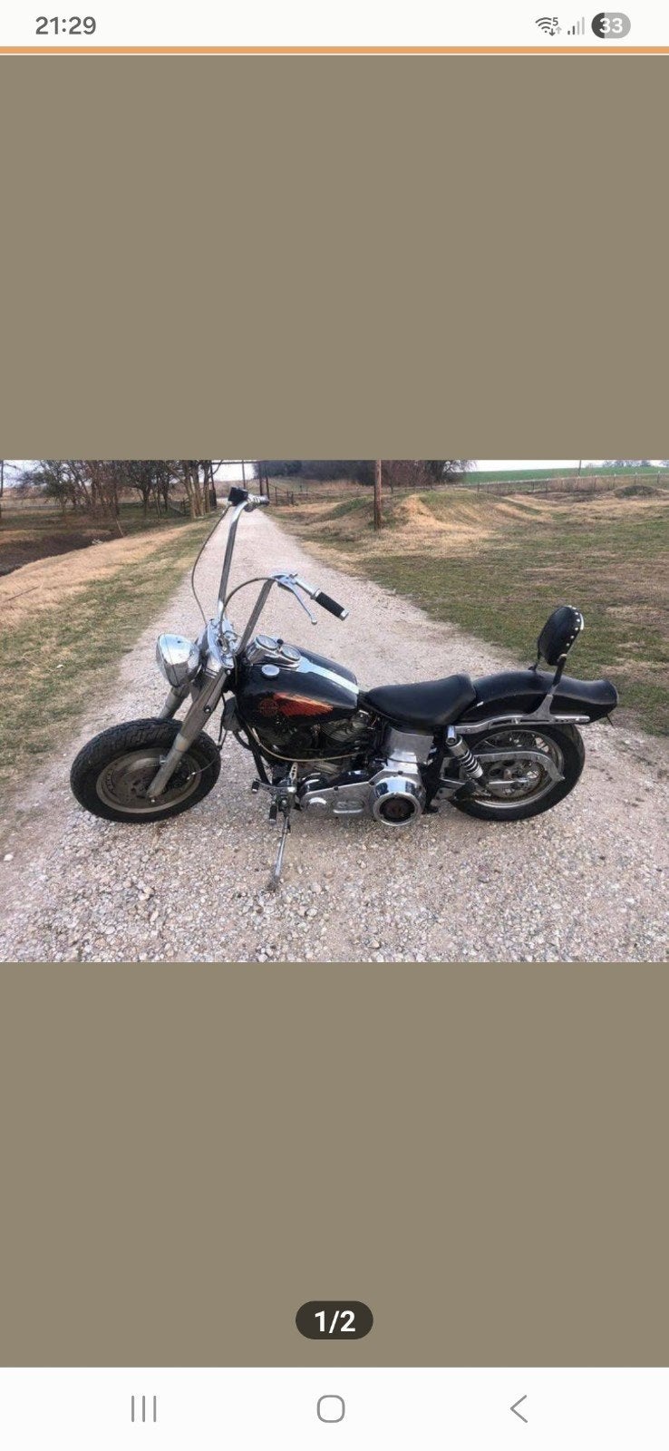 Harley Davidson Shovelheads, Motoren, Particulier