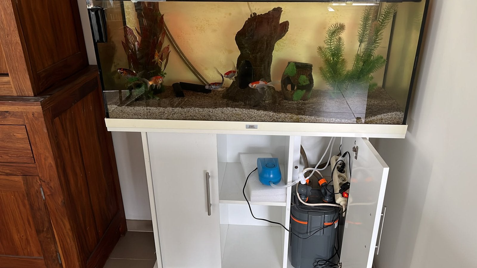 Aquarium juwel 180 Rio, Animaux & Accessoires, Enlèvement, Utilisé
