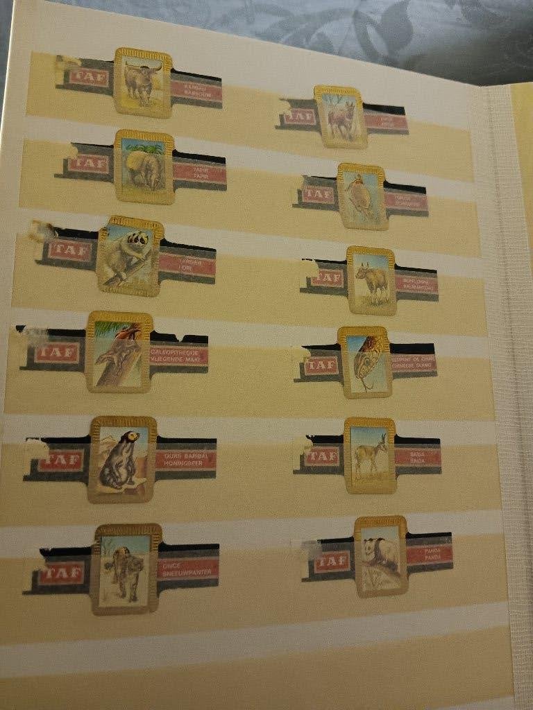 Oude sigaren bandjes in album in mooie staat, Ophalen, Zo goed als nieuw, Sigarenbandjes