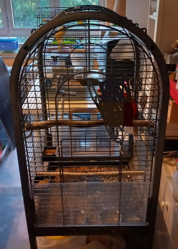 Papegaaienkooi, Dieren en Toebehoren, Ophalen