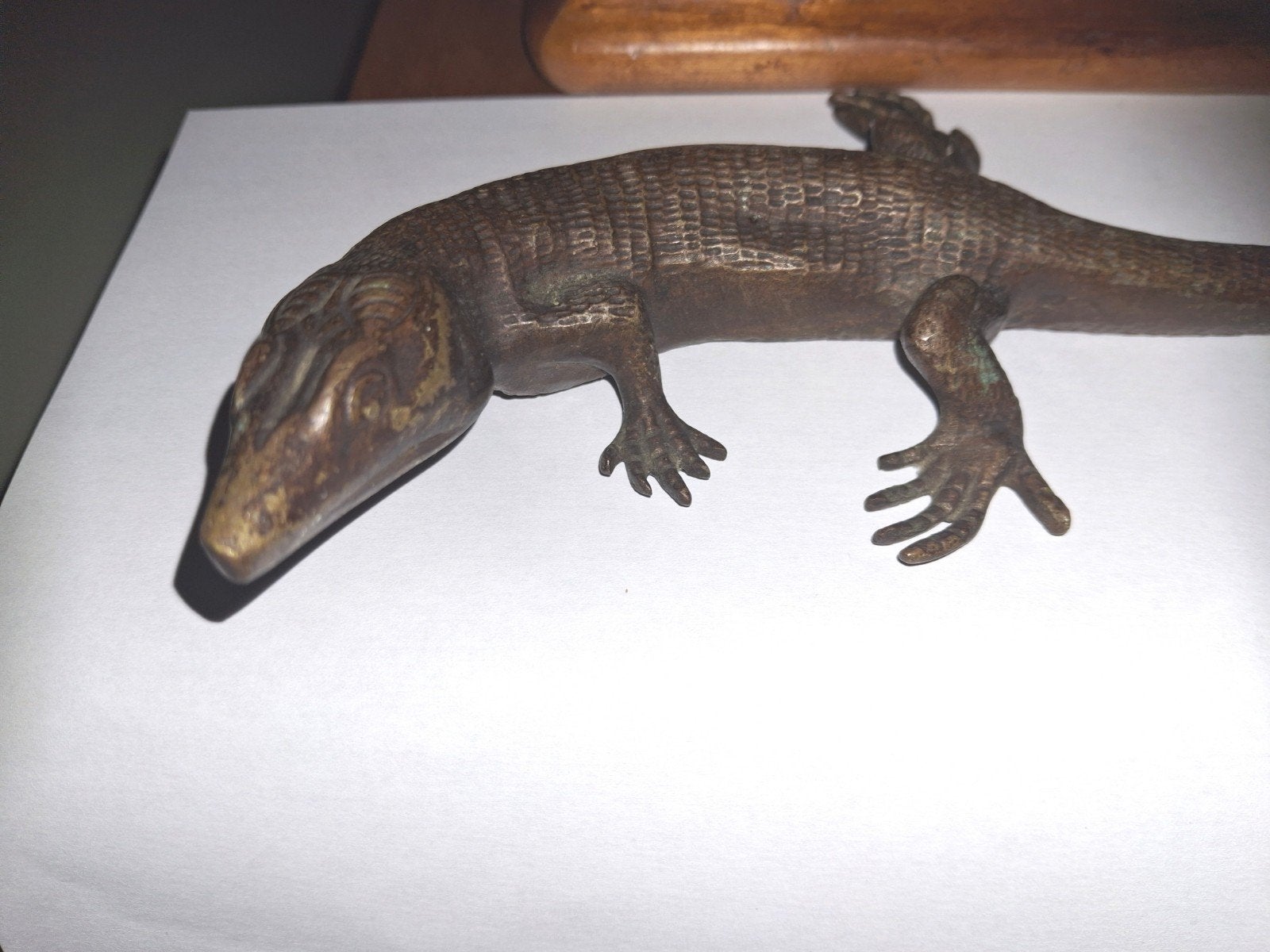 deco lizard, Animaux & Accessoires, Reptiles & Amphibiens