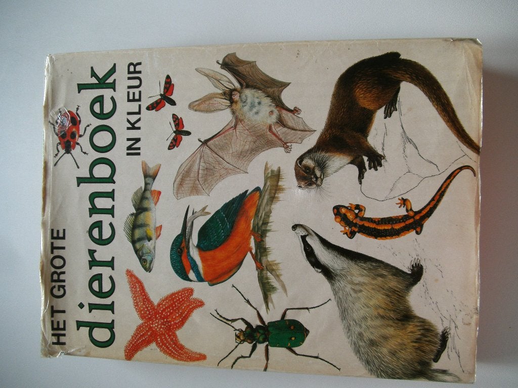 Het grote Dierenboek in kleur, Enlèvement ou Envoi, Utilisé
