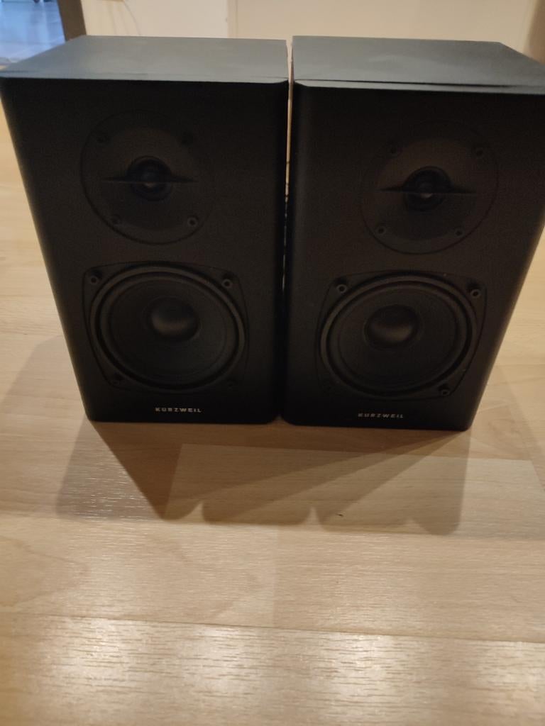 Studio monitoren Kurzweil, Audio, Tv en Foto, Luidsprekerboxen, Ophalen