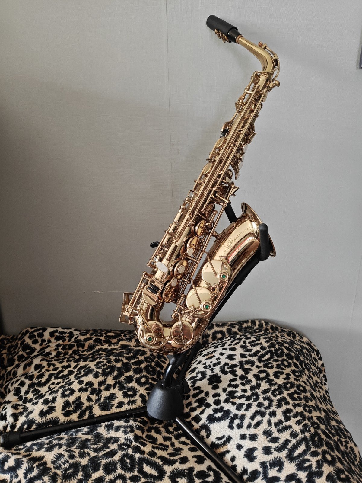 Set de saxophone alto (Grammy Series II) + bec Selmer C**s80, Musique & Instruments, Instruments à vent | Saxophones, Enlèvement