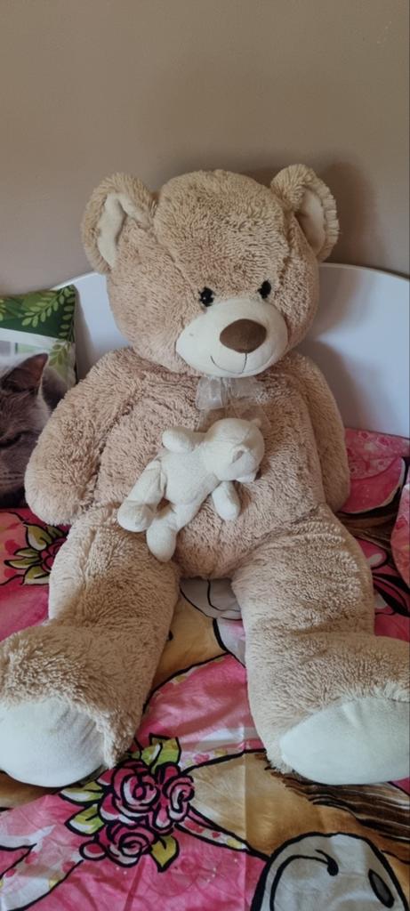 Grote teddybeer, Verzamelen, Ophalen