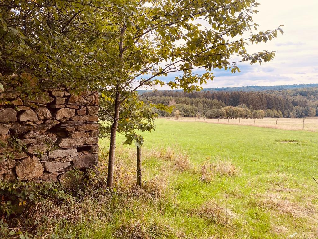 Domaine naturel d’exception de 5 hectares, Namur, 1500 m² ou plus