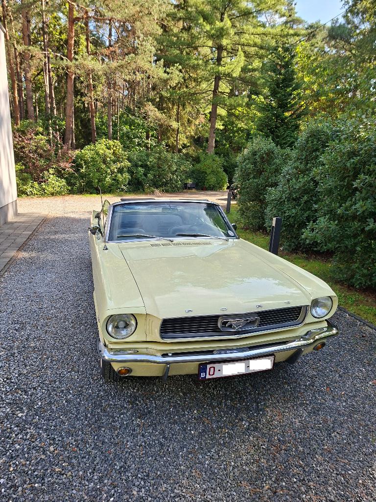 Ford Mustang Cabrio 1966 te huur, Diensten en Vakmensen, Met chauffeur, Personenauto