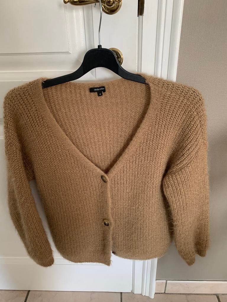 Nieuw vestje Cardigan Claudia Strater 38 beige, Ophalen of Verzenden