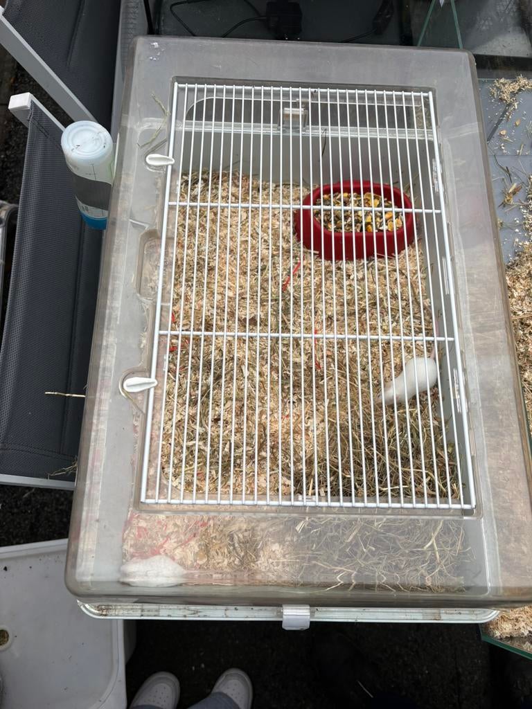 Kooi met de 2muizen, Ophalen of Verzenden, Zo goed als nieuw