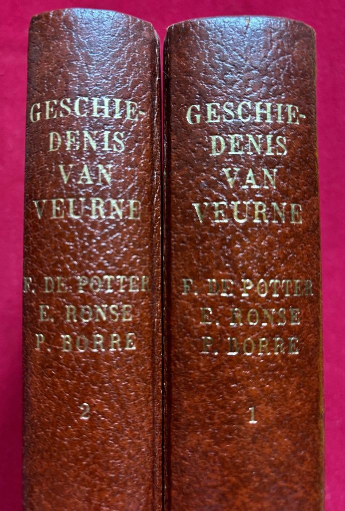 Geschiedenis van Veurne, Boeken, 19e eeuw, Ophalen of Verzenden, Zo goed als nieuw, Frans De Potter