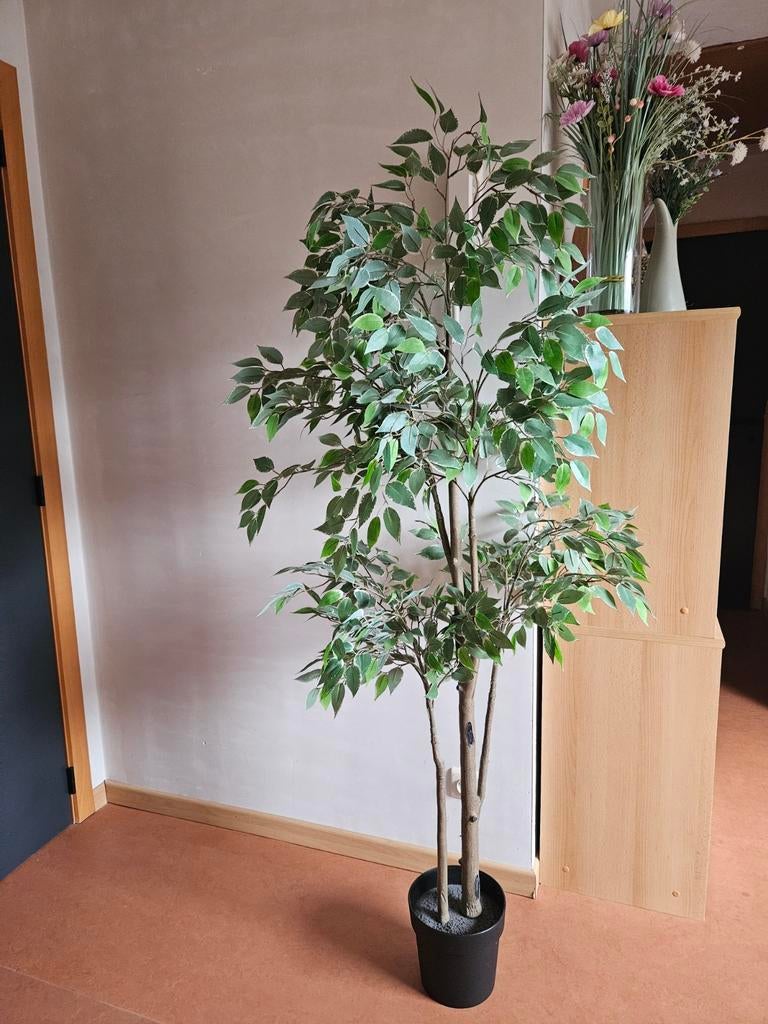 Kunstplant, Ophalen