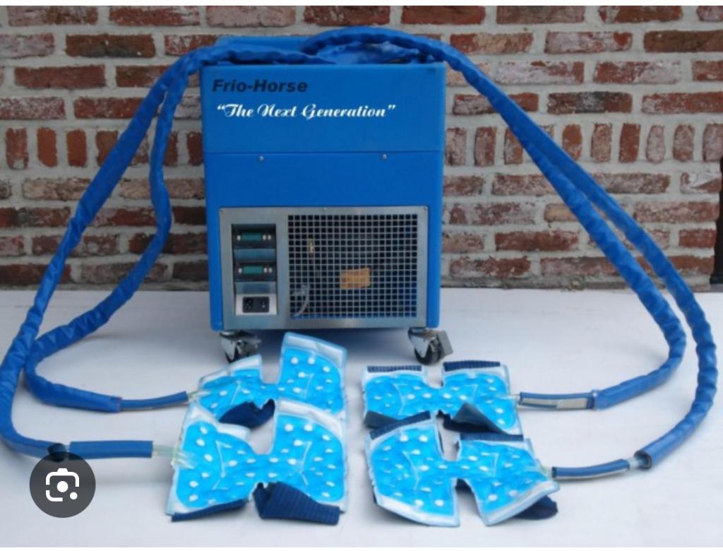 Koelmachine friohorse 4 pads, Dieren en Toebehoren, Ophalen, Gebruikt