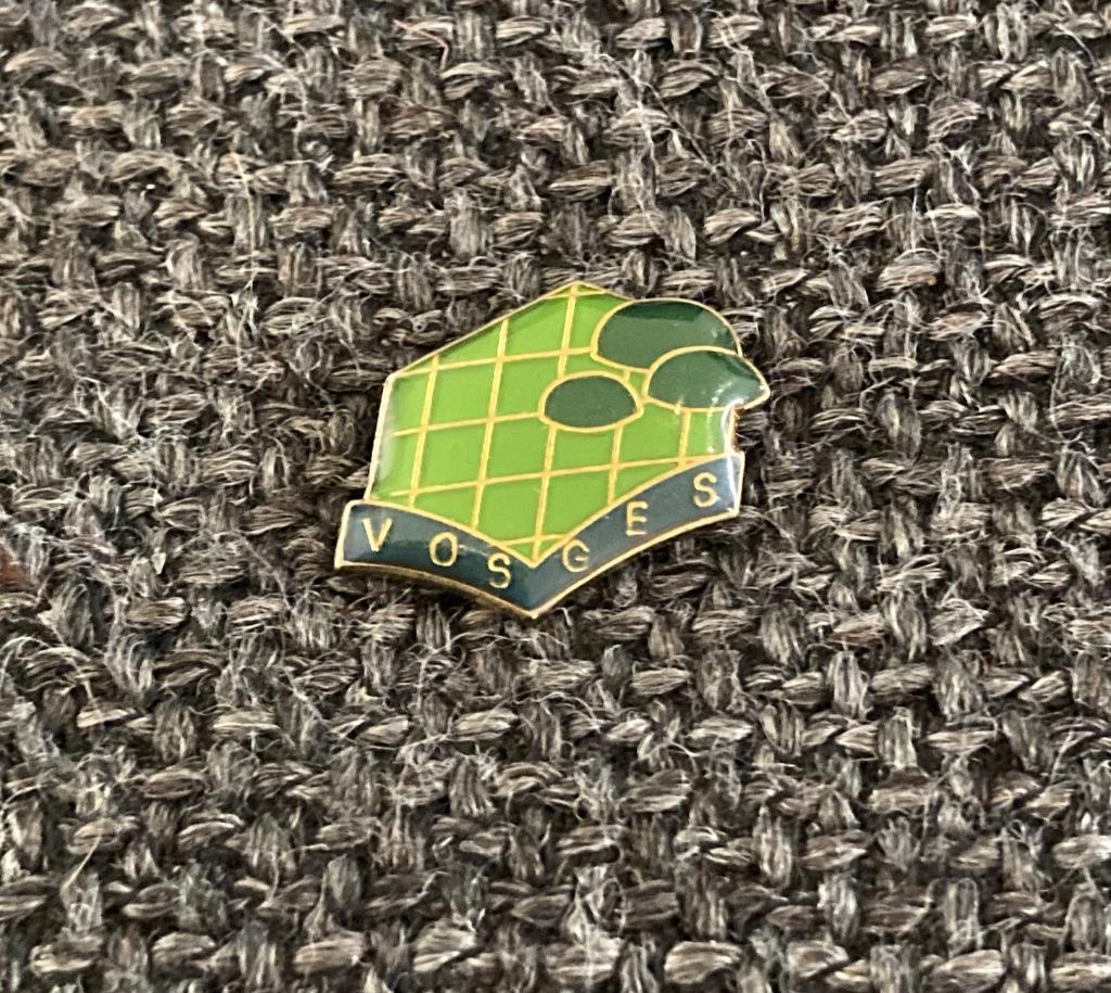 PIN - VOSGES - VOGEZEN - FRANCE - FRANKRIJK, Envoi, Utilisé, Ville ou Campagne, Insigne ou Pin's