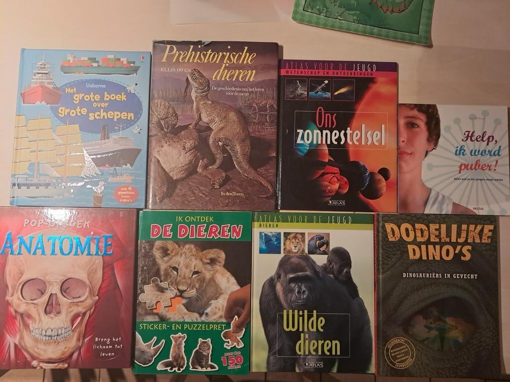 Kinder/ jeugdboeken, Ophalen, Zo goed als nieuw