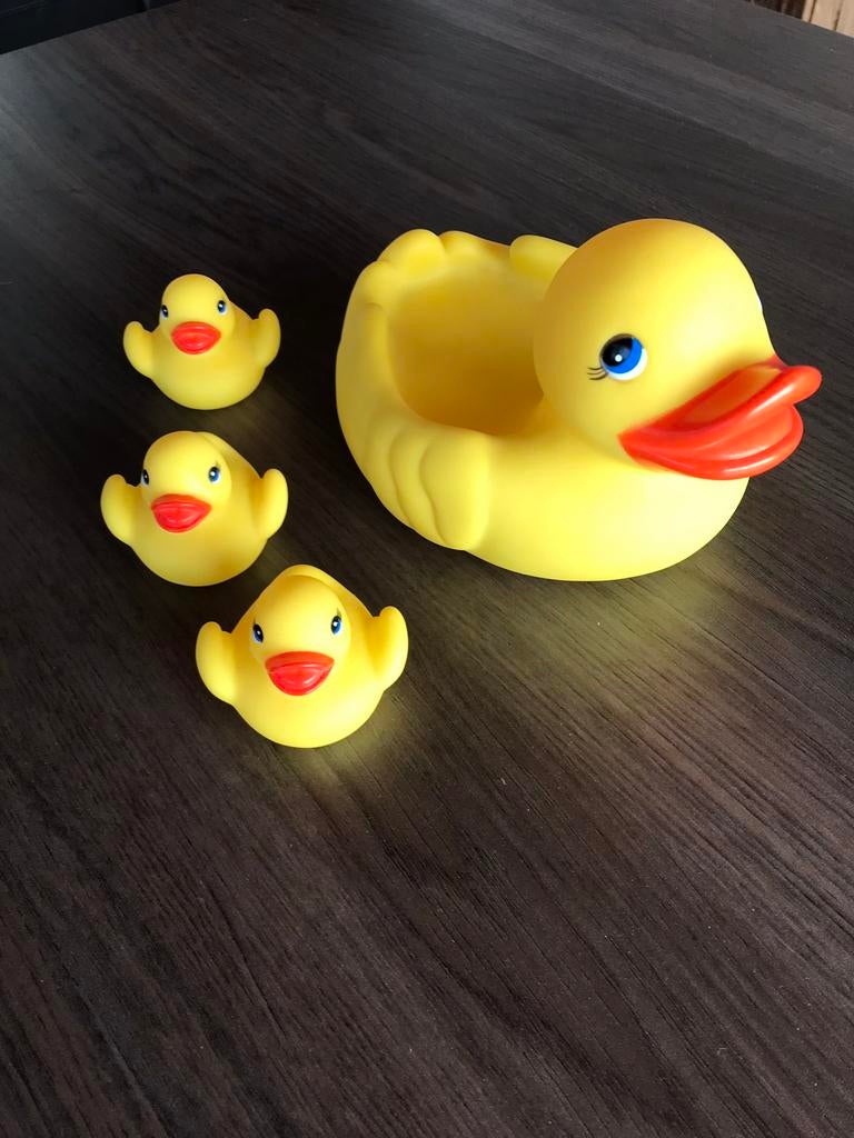 Badeend met 3 kuikens, Ophalen, Zo goed als nieuw