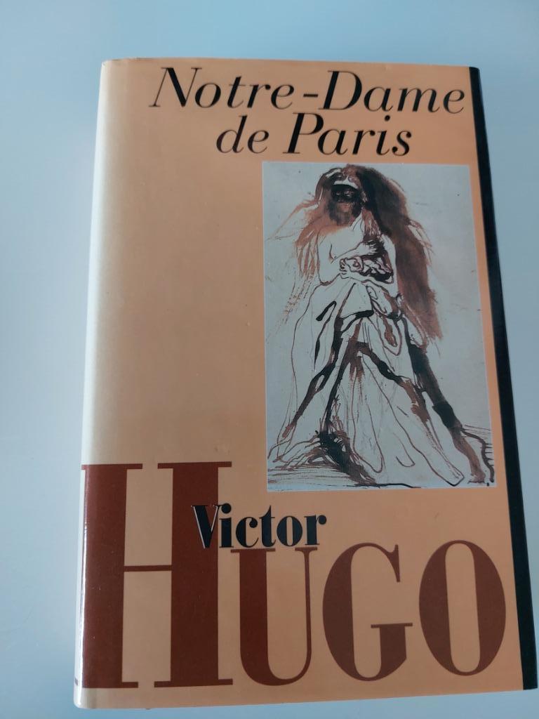 Notre-Dame van Parijs, Victor Hugo, Ophalen of Verzenden, Gelezen