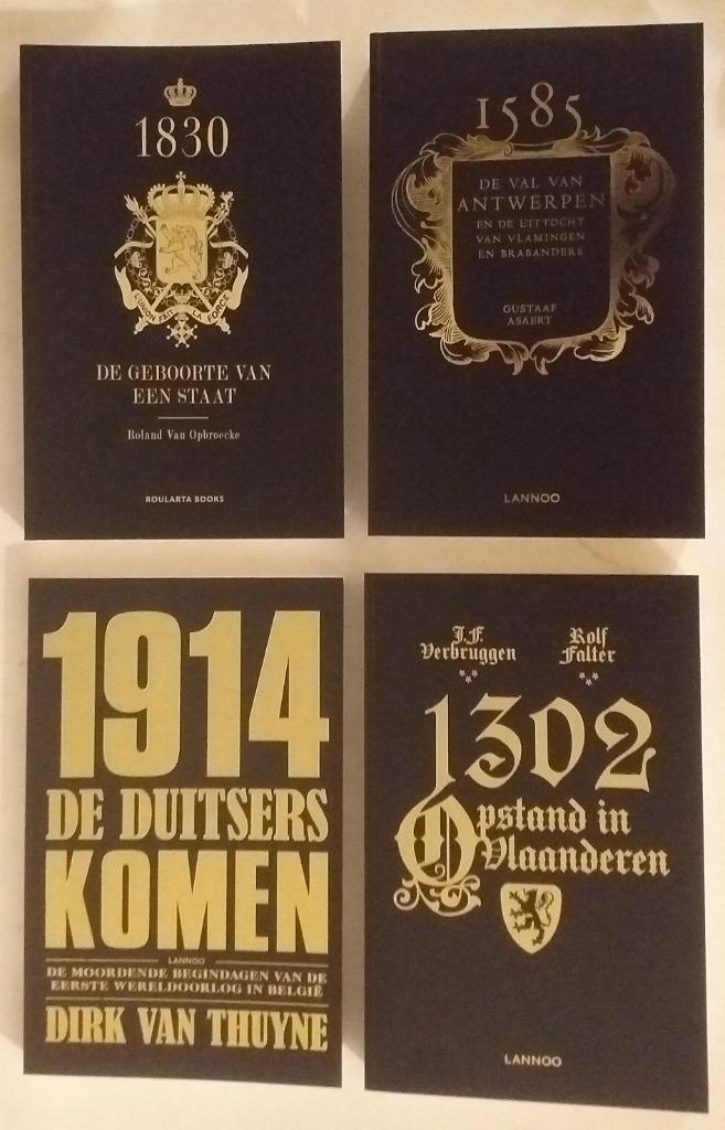Geschiedenis van Vlaanderen: Beslissende sleutelmomenten, Boeken, Geschiedenis | Nationaal, Ophalen of Verzenden