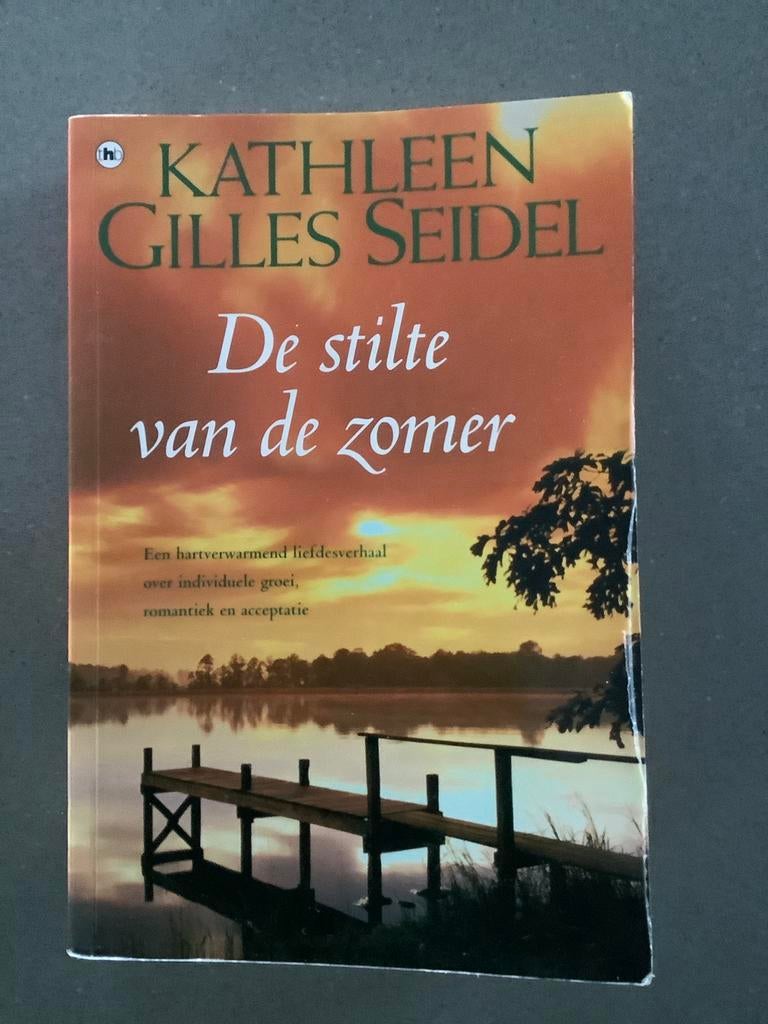 Roman - Kathleen Gilles Seidel - De stilte van de zomer, Enlèvement, Kathleen Gilles Seidel
