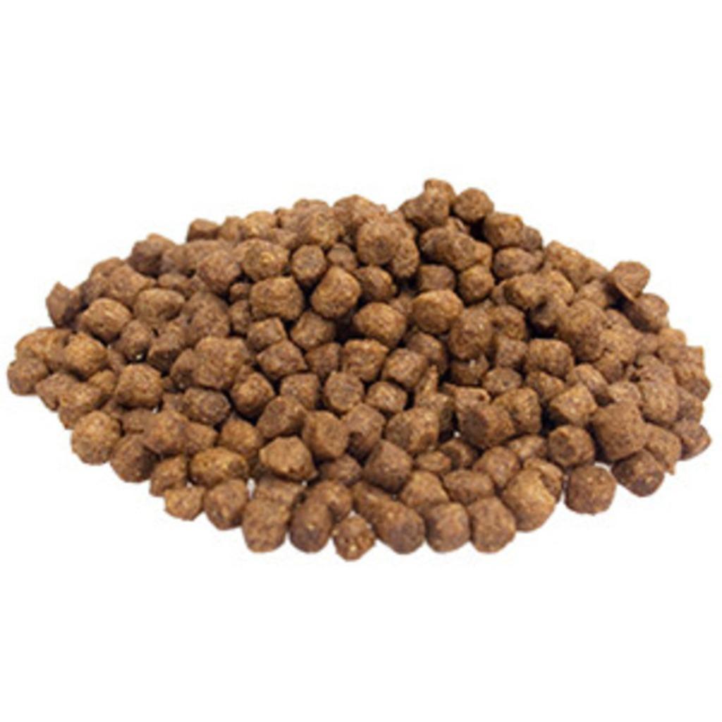 hondenbrokken essential croc 15kg topvoer, Verzenden, Hond
