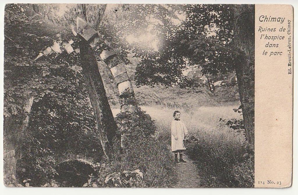 Chimay Ruines de l'hospice dans le parc, Collections, Envoi, Affranchie, Hainaut