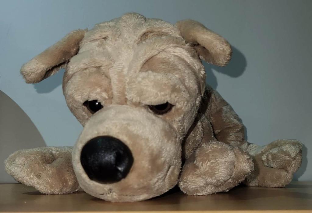 peluche chien genre Sharpeï, Enlèvement ou Envoi, Comme neuf, Chien
