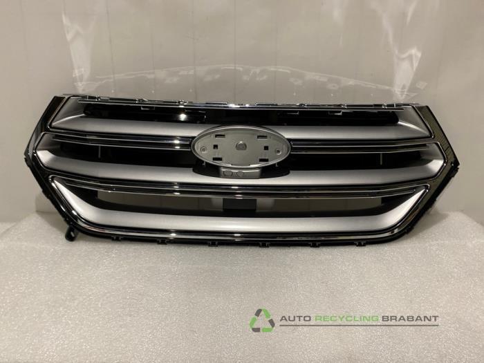Grille van een Ford Edge, Auto-onderdelen, Gebruikt, -, -, Ophalen of Verzenden