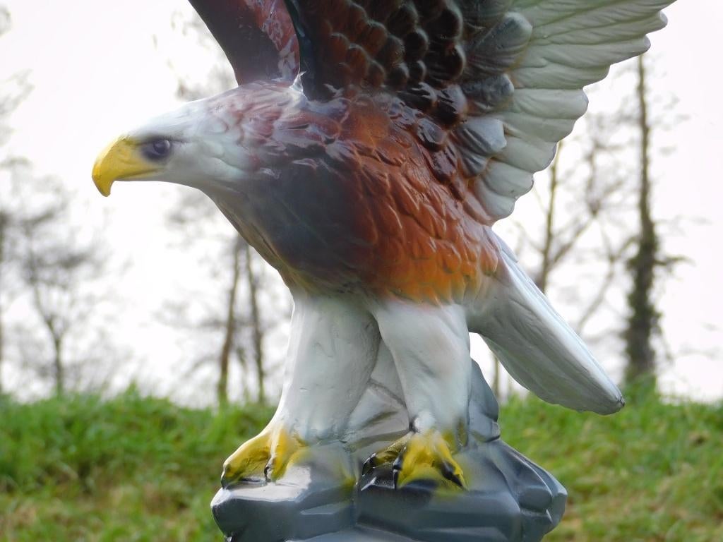 Beeld Adelaar in Kleur - 60 cm - Polystone, Ophalen of Verzenden, Kunststof, Dierenbeeld