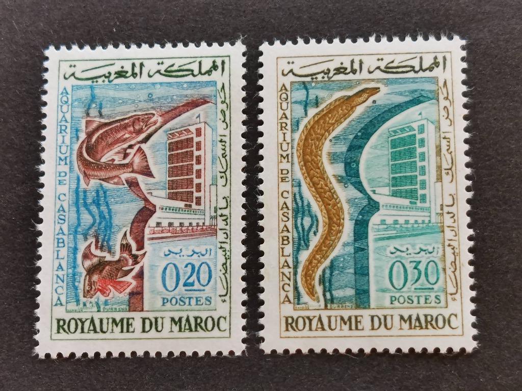 Marokko 1962 - aquarium Casablanca - vissen **, Ophalen of Verzenden, Marokko, Postfris