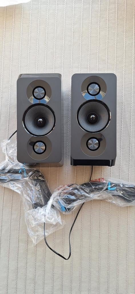 2 haut-parleurs Philips, TV, Hi-fi & Vidéo, Enlèvement ou Envoi, Neuf, Philips