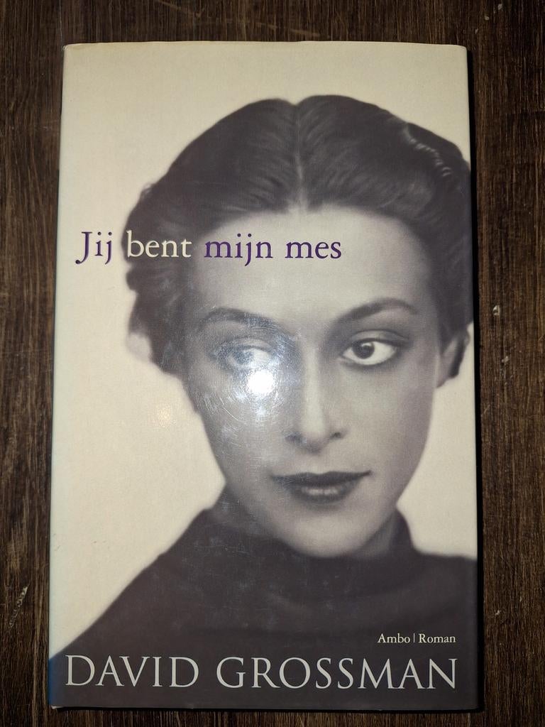 David Grossman - Jij bent mijn mes, Boeken, Ophalen of Verzenden, David Grossman