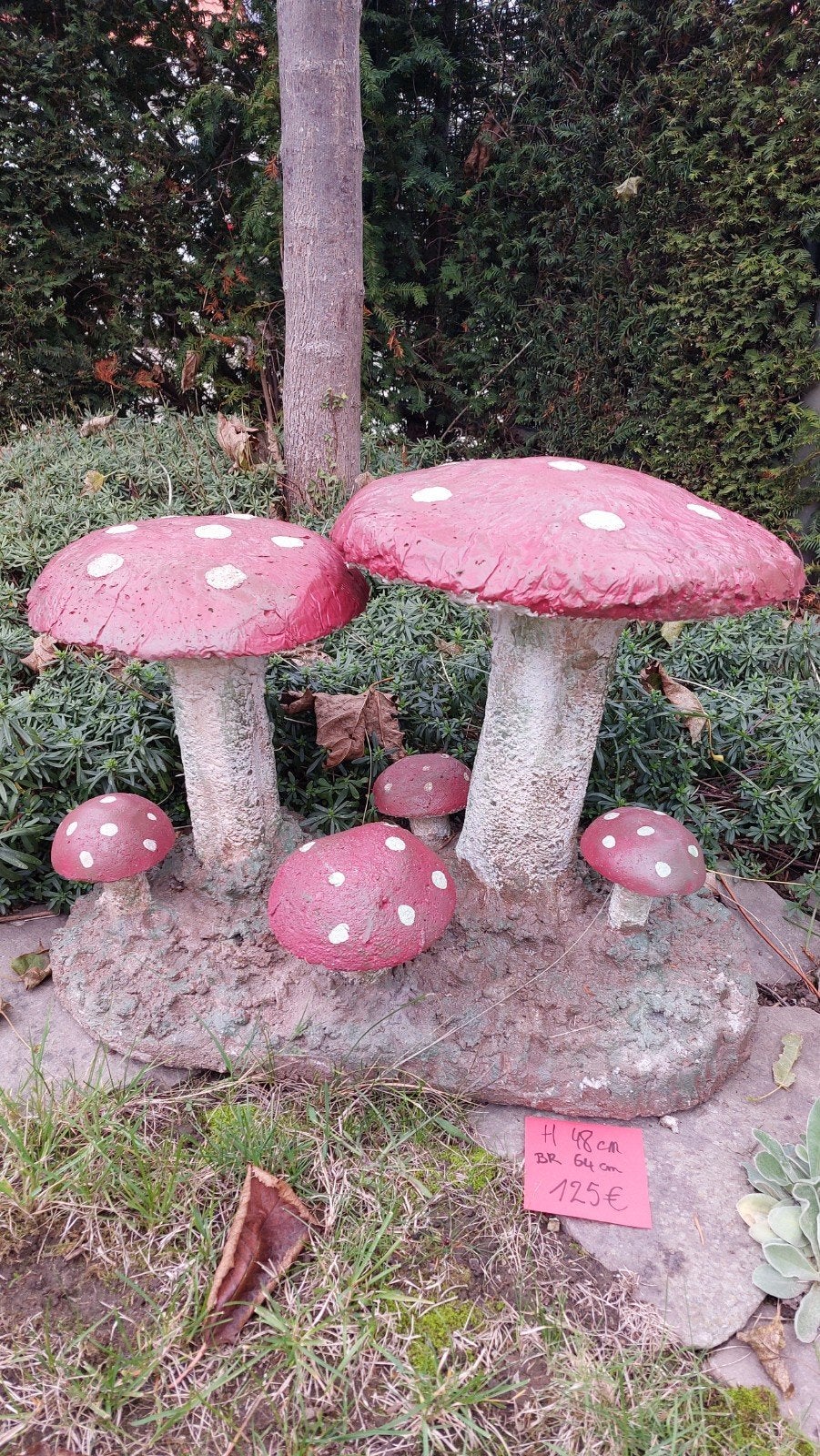 paddestoel, Ophalen, Steen