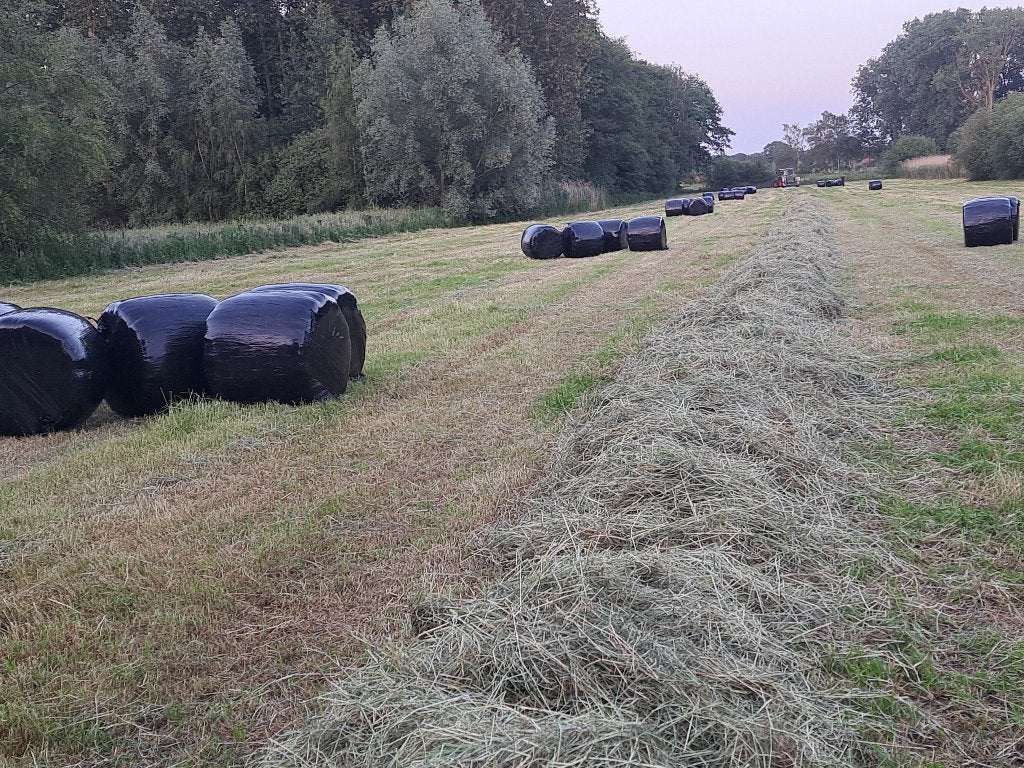 Midi balen voordroog hooi 1 ste en 2 de snede, Zakelijke goederen, Landbouw | Veevoer, Ophalen
