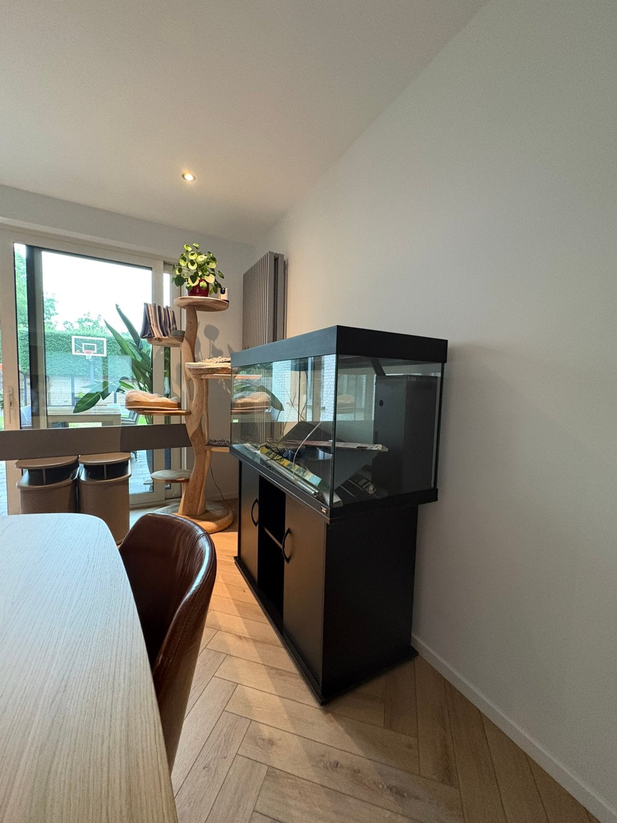 300l aquarium, Anvers (ville)