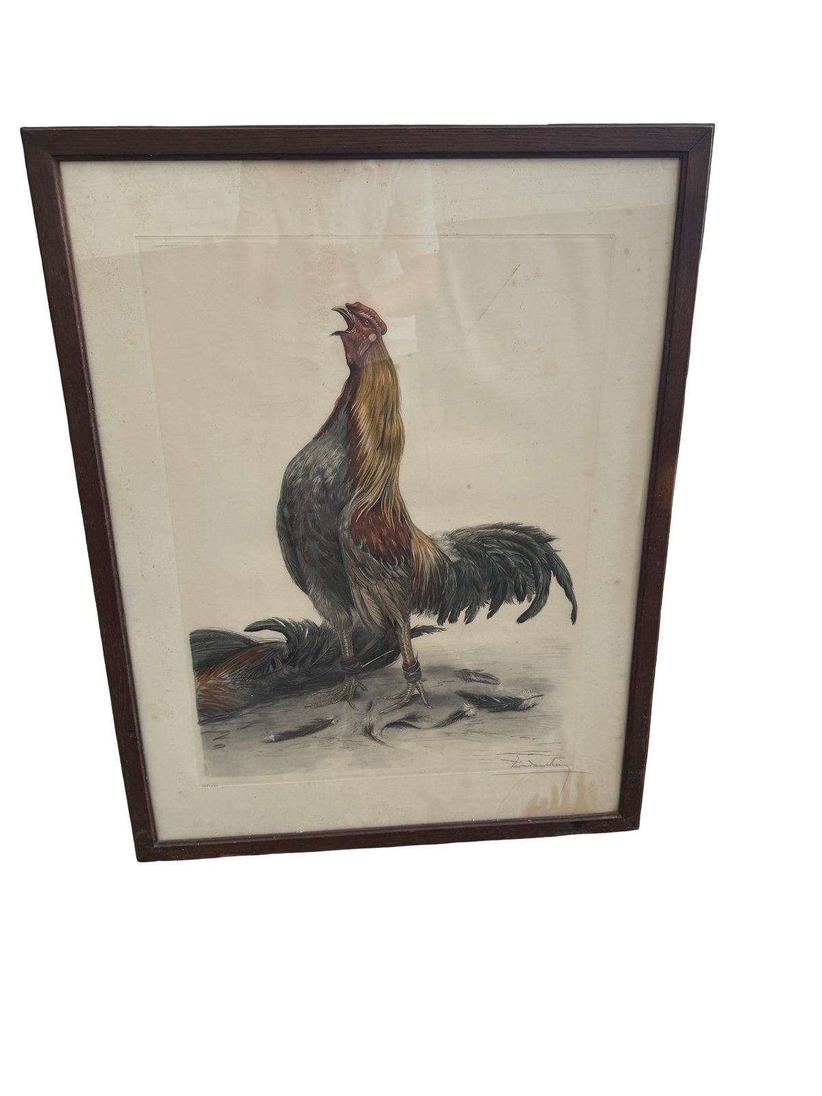 Léon Danchin (1887-1938) — Grote oude lithografie, Gelimiteerde oplage, Ophalen of Verzenden, Dieren en Natuur, Lithografie
