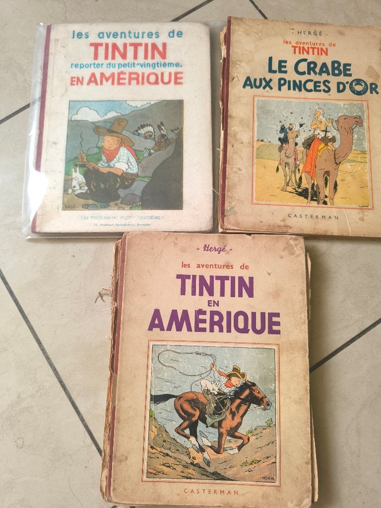 Recherche Tintin en noir et blanc, Livres, BD, Plusieurs BD, Enlèvement ou Envoi, Utilisé