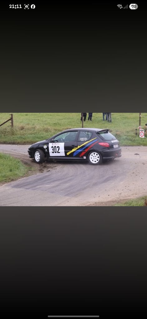 Peugeot 206 Rallye, Particulier, Achat