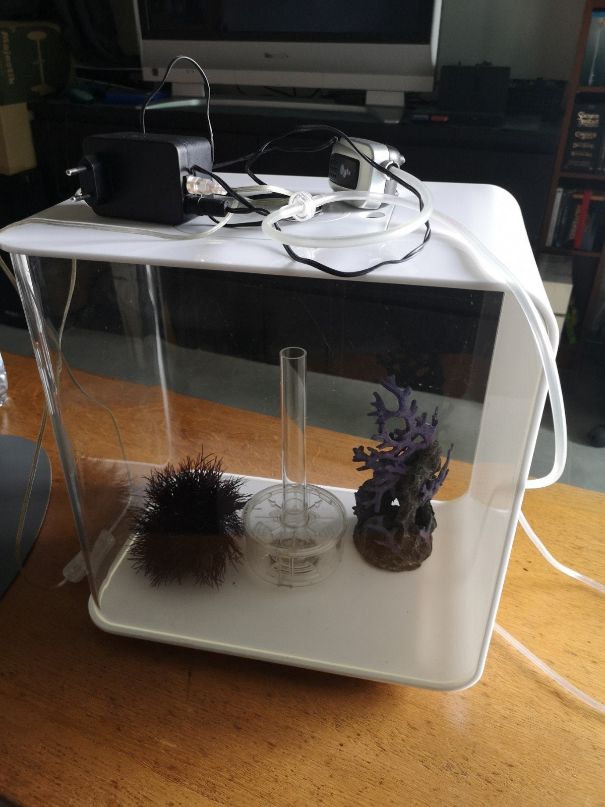 aquarium biorb flow 30, Enlèvement, Couvercle inclus, Utilisé, Autres marques