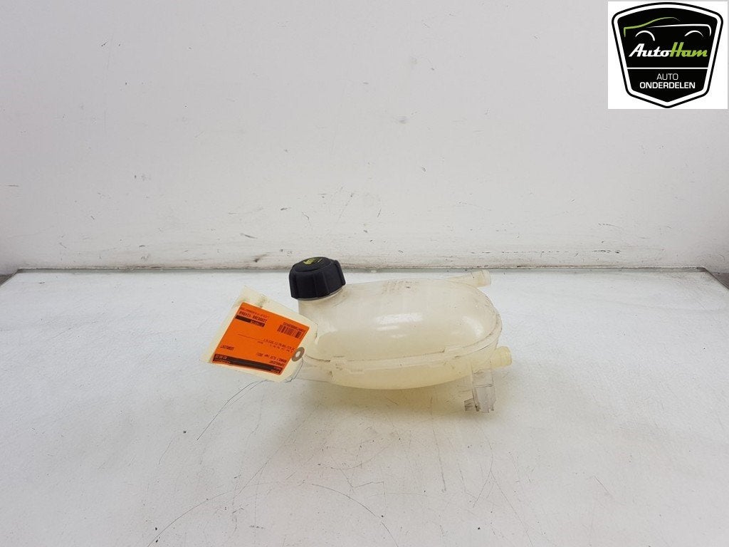 VASE D'EXPANSION Renault Clio V (RJAB) (|217102572R|), Utilisé, Renault