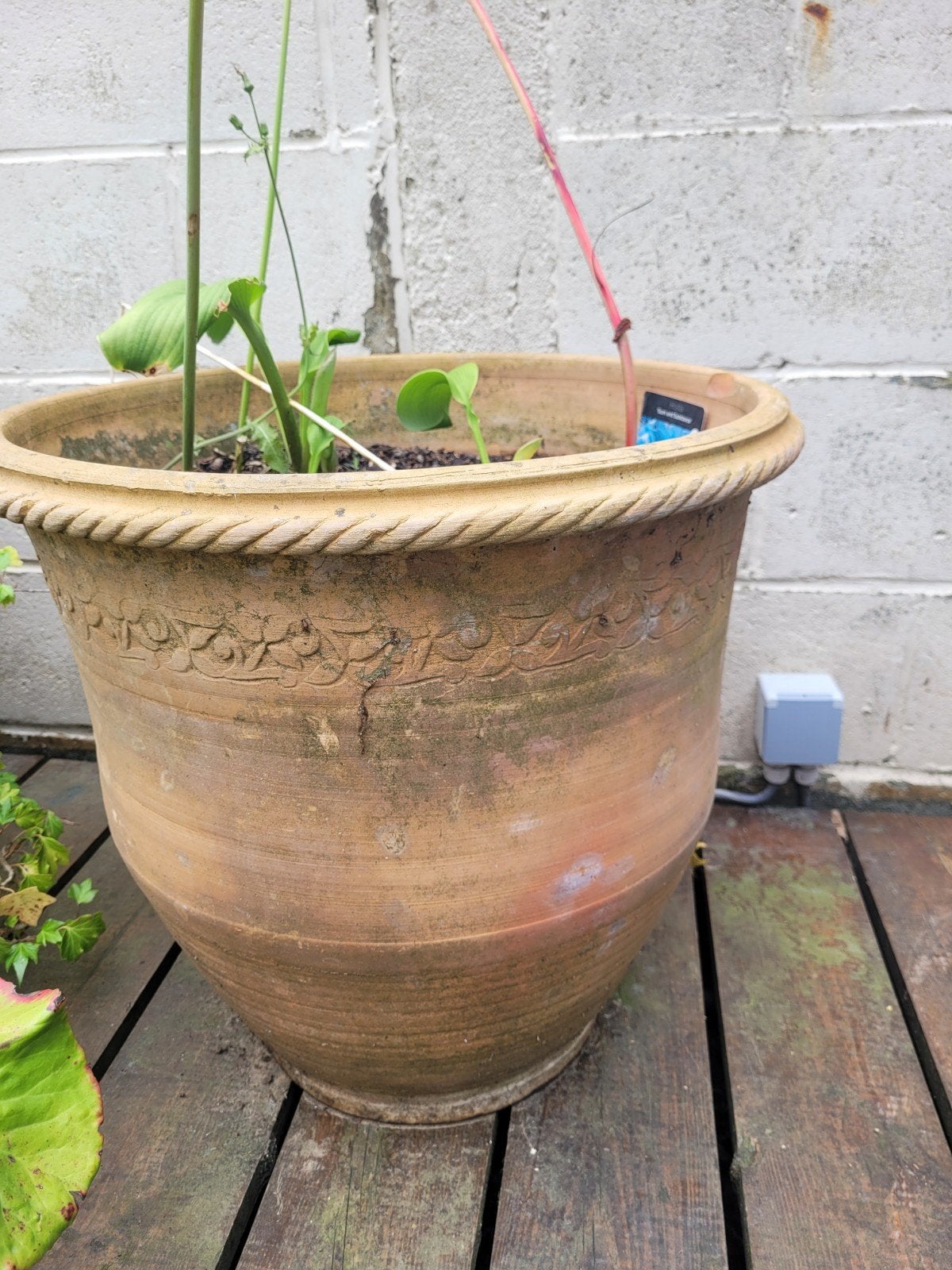 Pot Italien, Jardin & Terrasse, Pots de fleurs, Enlèvement