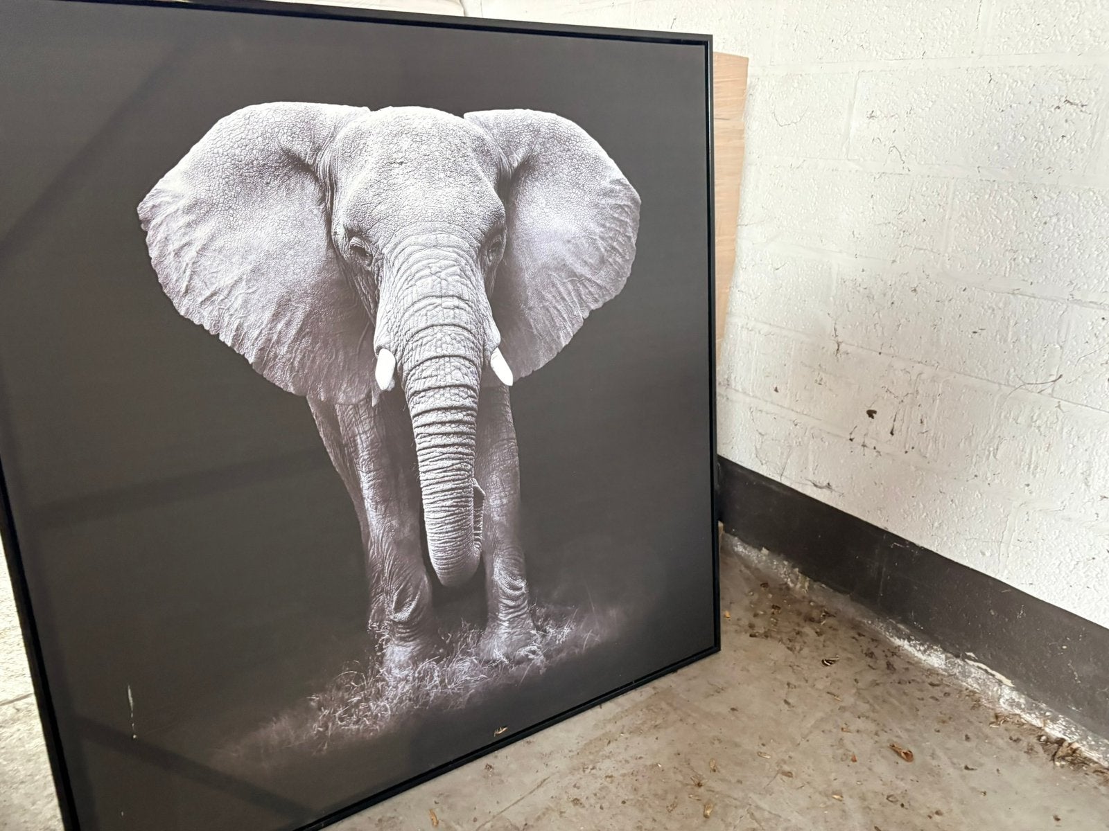 Kader zwart-wit olifant, Ophalen, Zo goed als nieuw