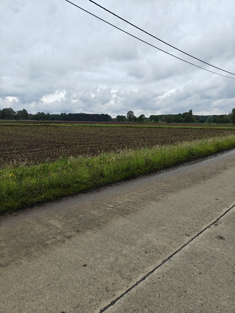 Landbouwgrond op uitstekende locatie., Immo, Gronden en Bouwgronden, 1500 m² of meer, Verkoop zonder makelaar