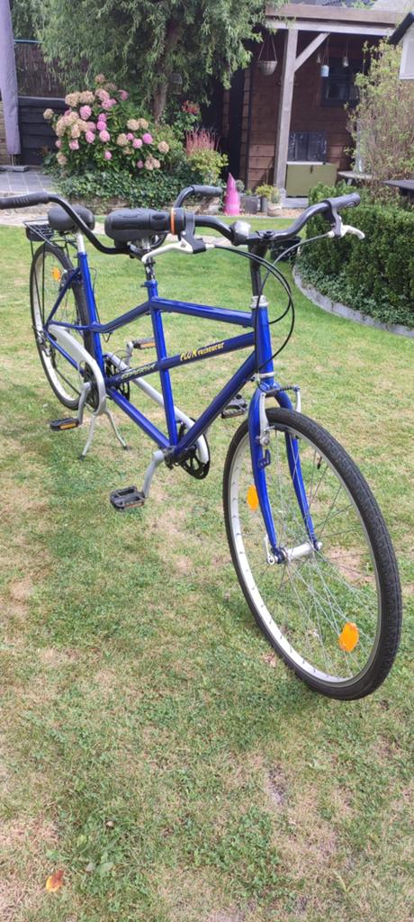 Leuke tandem Plum Vainqueur, Ophalen