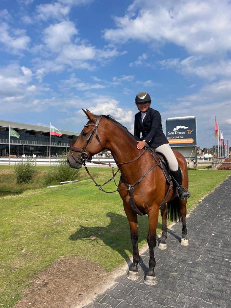 Betrouwbaar allround spring- en dressuurpaard, Dieren en Toebehoren, Paarden, Ruin, L, 170 tot 175 cm, 11 jaar of ouder, Springpaard